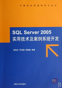 SQL Server 2005實(shí)用技術(shù)及案例系統(tǒng)開(kāi)發(fā) 附光盤的計(jì)算機(jī)應(yīng)用案例學(xué)習(xí)指南