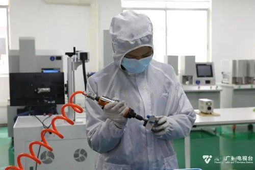 科技種子在南寧開花結果，網絡技術創新激發經濟新活力
